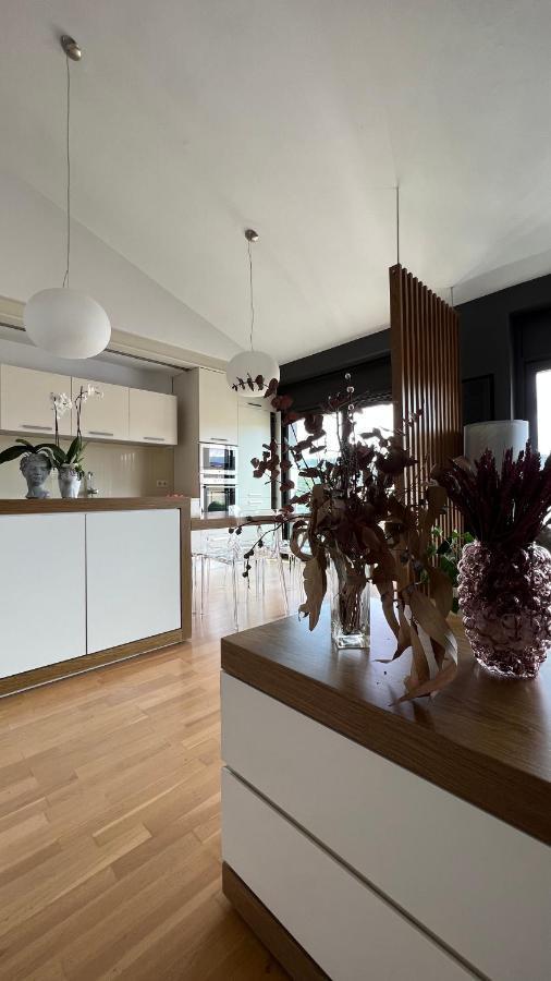 Atico De Diseno Con Terraza En El Centro De Olot Apartment ภายนอก รูปภาพ