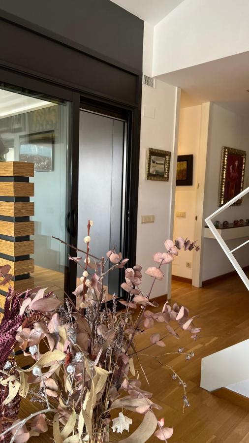 Atico De Diseno Con Terraza En El Centro De Olot Apartment ภายนอก รูปภาพ